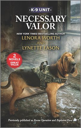 Cover image for Necessary Valor