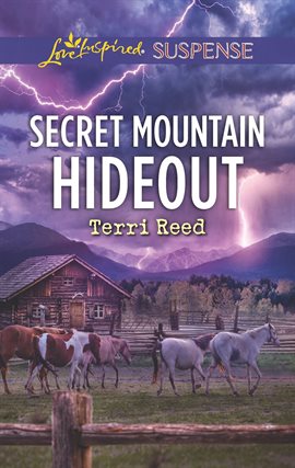 Cover image for Secret Mountain Hideout