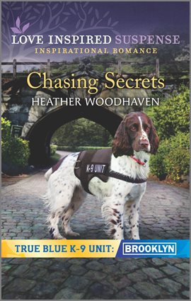 Cover image for Chasing Secrets