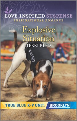 Cover image for Explosive Situation