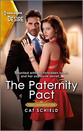 Cover image for The Paternity Pact