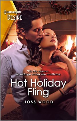 Cover image for Hot Holiday Fling