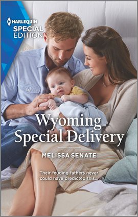 Cover image for Wyoming Special Delivery