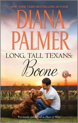 Cover image for Boone