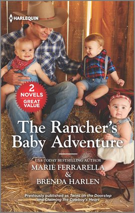 Cover image for The Rancher's Baby Adventure