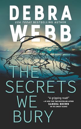 Cover image for The Secrets We Bury