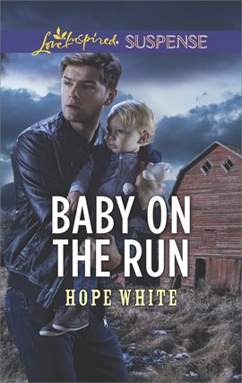 Cover image for Baby on the Run