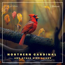 Cover image for Northern Cardinal and Other Bird Songs