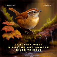 Cover image for Carolina Wren Birdsong and Smooth River Trickle