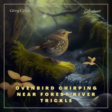 Imagen de portada para Ovenbird Chirping Near Forest River Trickle