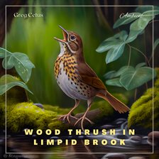 Cover image for Wood Thrush in Limpid Brook