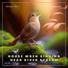 Imagen de portada para House Wren Singing Near River Stream