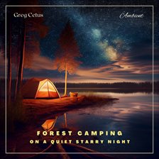 Cover image for Forest Camping on a Quiet Starry Night