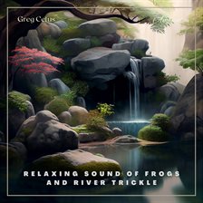 Cover image for Relaxing Sound of Frogs and River Trickle
