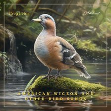 Cover image for American Wigeon and Other Bird Songs