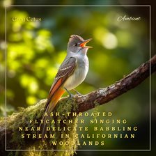 Cover image for Ash-Throated Flycatcher Singing Near Delicate Babbling Stream in Californian Woodlands