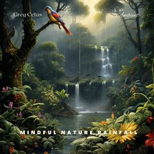 Cover image for Mindful Nature Rainfall