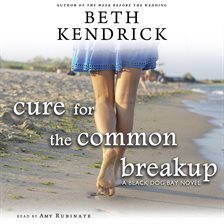 Imagen de portada para Cure for the Common Breakup