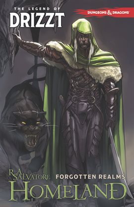 Cover image for Dungeons & Dragons: The Legend of Drizzt, Vol. 1: Homeland