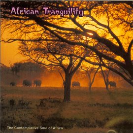Cover image for African Tranquility: The Contemplative Soul of Africa
