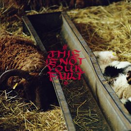Cover image for This Is Not Your Fault