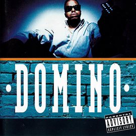 Cover image for Domino