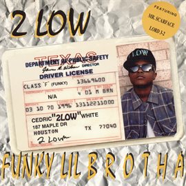 Cover image for Funky Lil Brotha