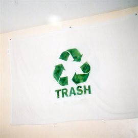 Cover image for Trash