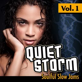 Cover image for Quiet Storm: Soulful Slow Jams