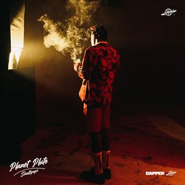 Cover image for Planet Pluto
