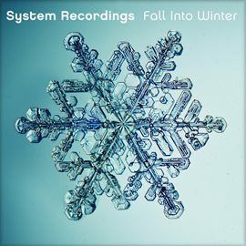 Cover image for Fall Into Winter