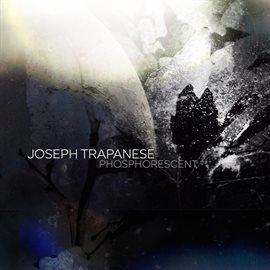 Imagen de portada para Phosphorescent