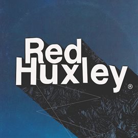 Cover image for Needle's Eye