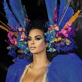Cover image for Afluentes