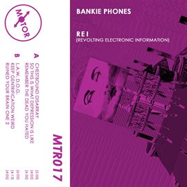 Cover image for R.E.I. (Revolting Electronic Information)