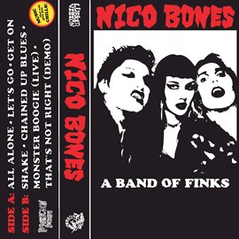 Imagen de portada para A Band of Finks