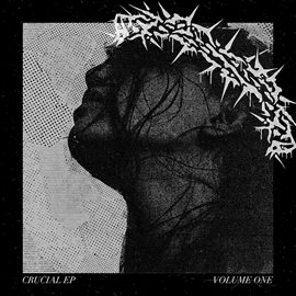 Cover image for Crucial, Vol. 1