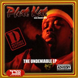 Imagen de portada para Undeniable