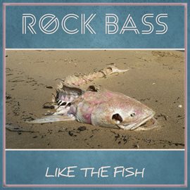 Cover image for Like the Fish