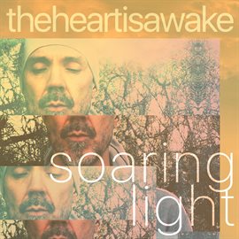 Cover image for Soaring Light