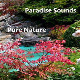 Cover image for Pure Nature