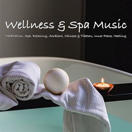 Cover image for Wellness & Spa Music