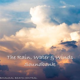 Cover image for The Rain, Water & Winds Soundsbank 1