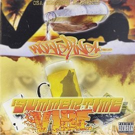 Cover image for The Summertime Vibe