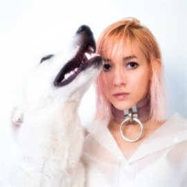 Cover image for Restless
