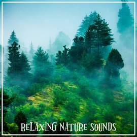 Cover image for Relaxing Nature Sounds