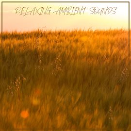 Cover image for Relaxing Ambient Sounds