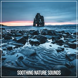 Cover image for Soothing Nature Sounds