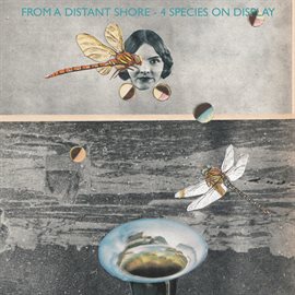 Cover image for From a Distant Shore