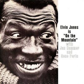 Cover image for On the Mountain